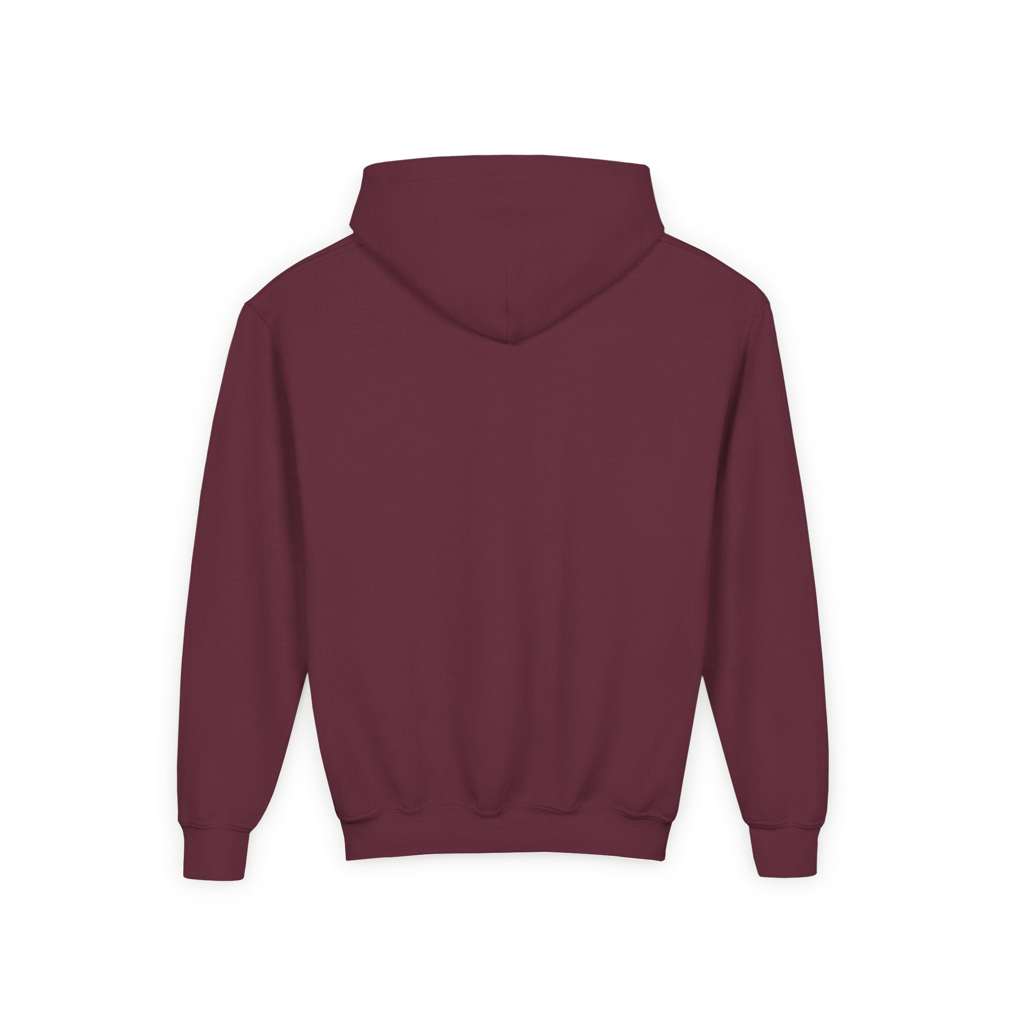 Youth Hoodie - Grandview Lake Sunset Logo