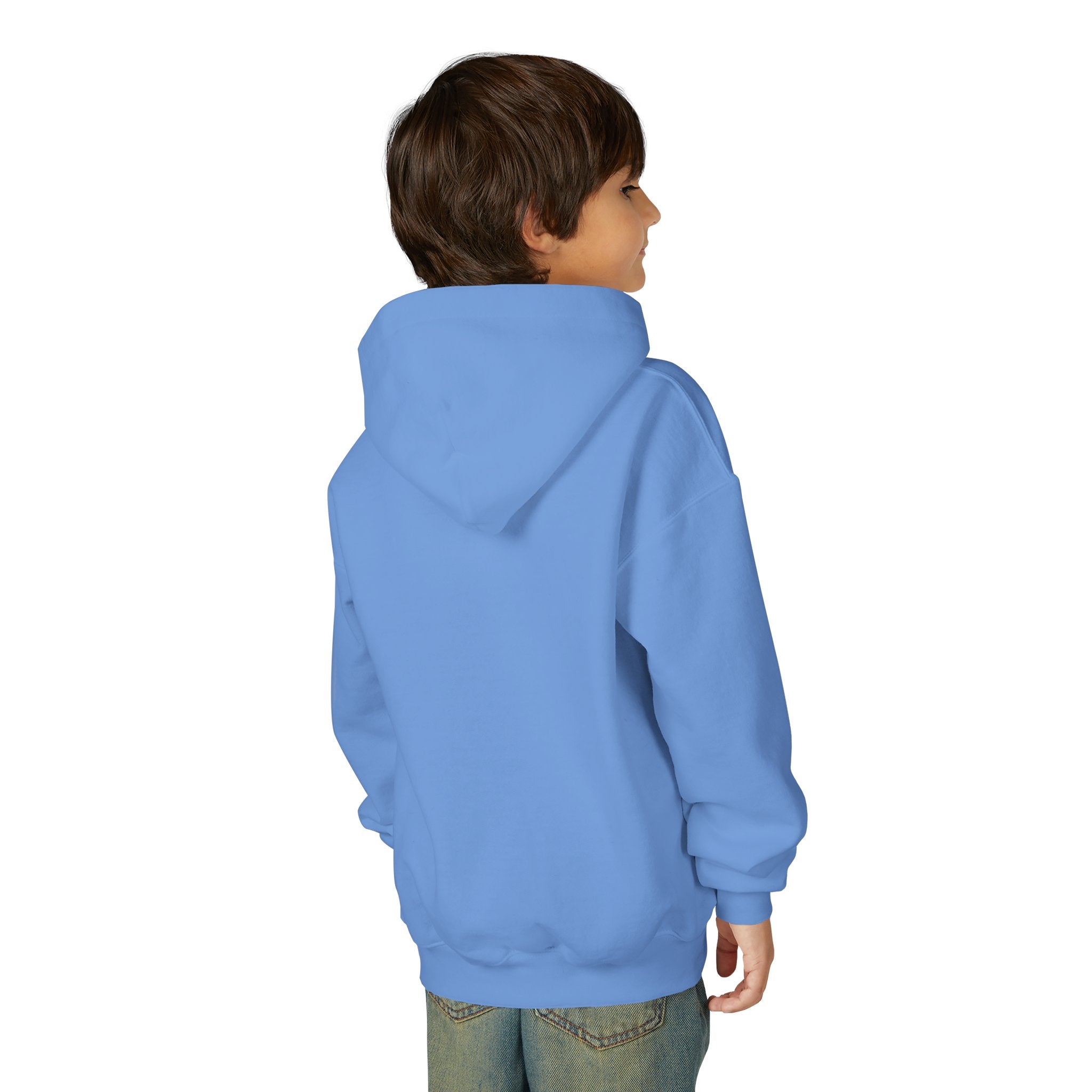 Youth Hoodie - Grandview Lake Sunset Logo