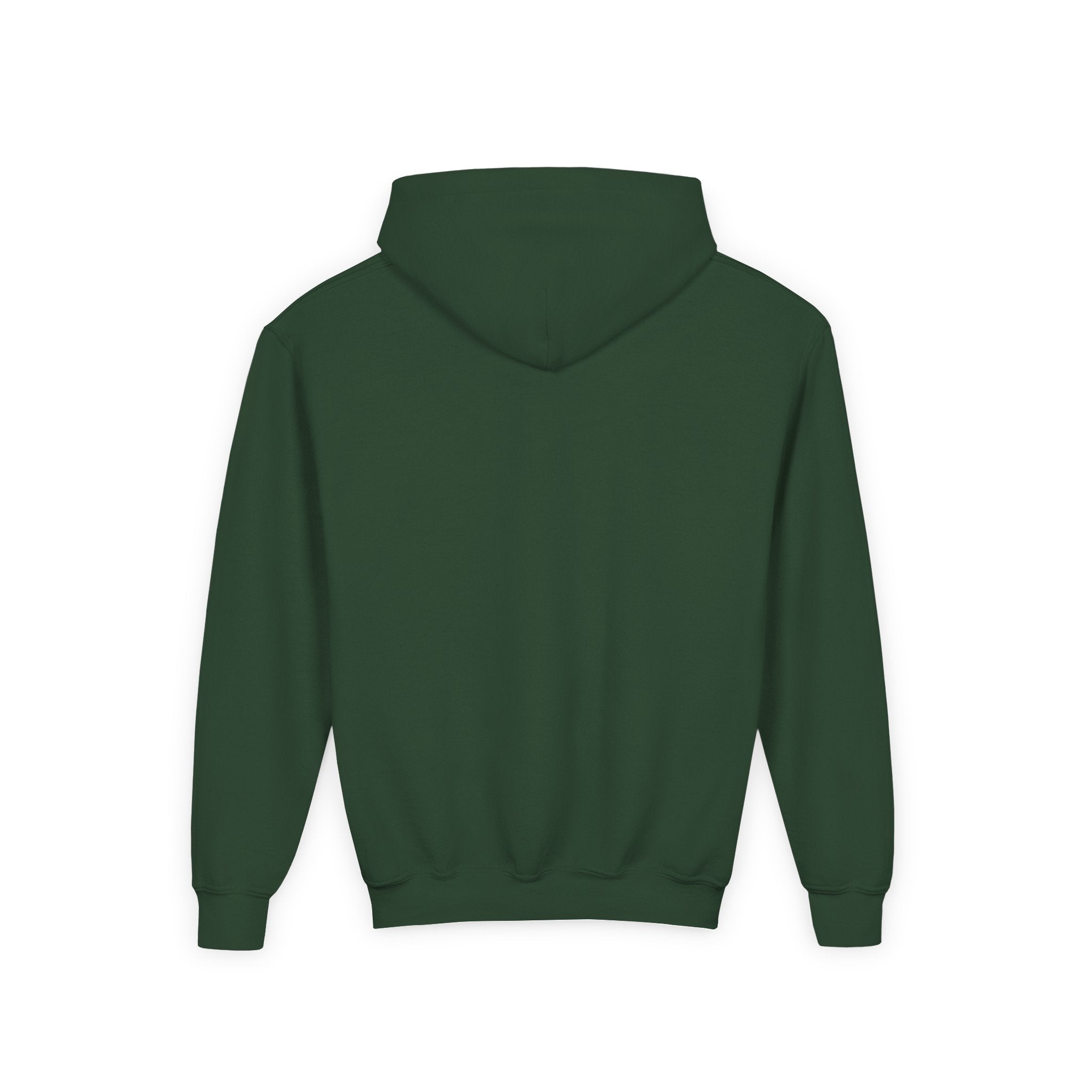 Youth Hoodie - Grandview Lake Sunset Logo