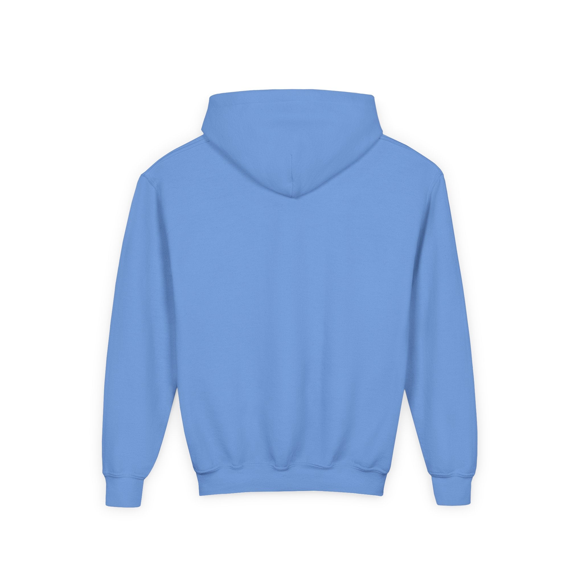 Youth Hoodie — Minimal 'grandview lake' Chest Logo Streetwear