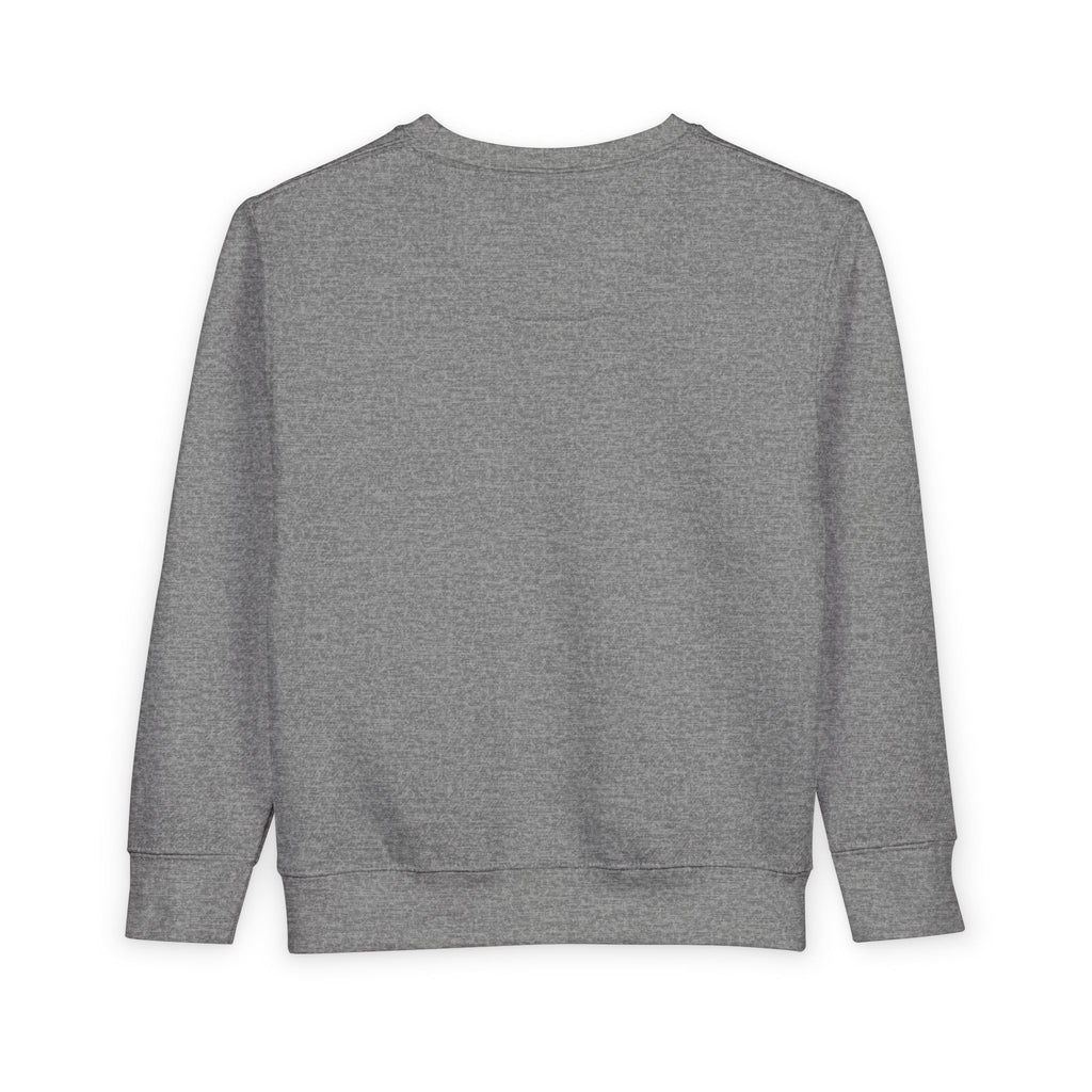 Toddler Sweatshirt - "PRINCE'S LAKES" Retro Camp Logo Kids Pullover