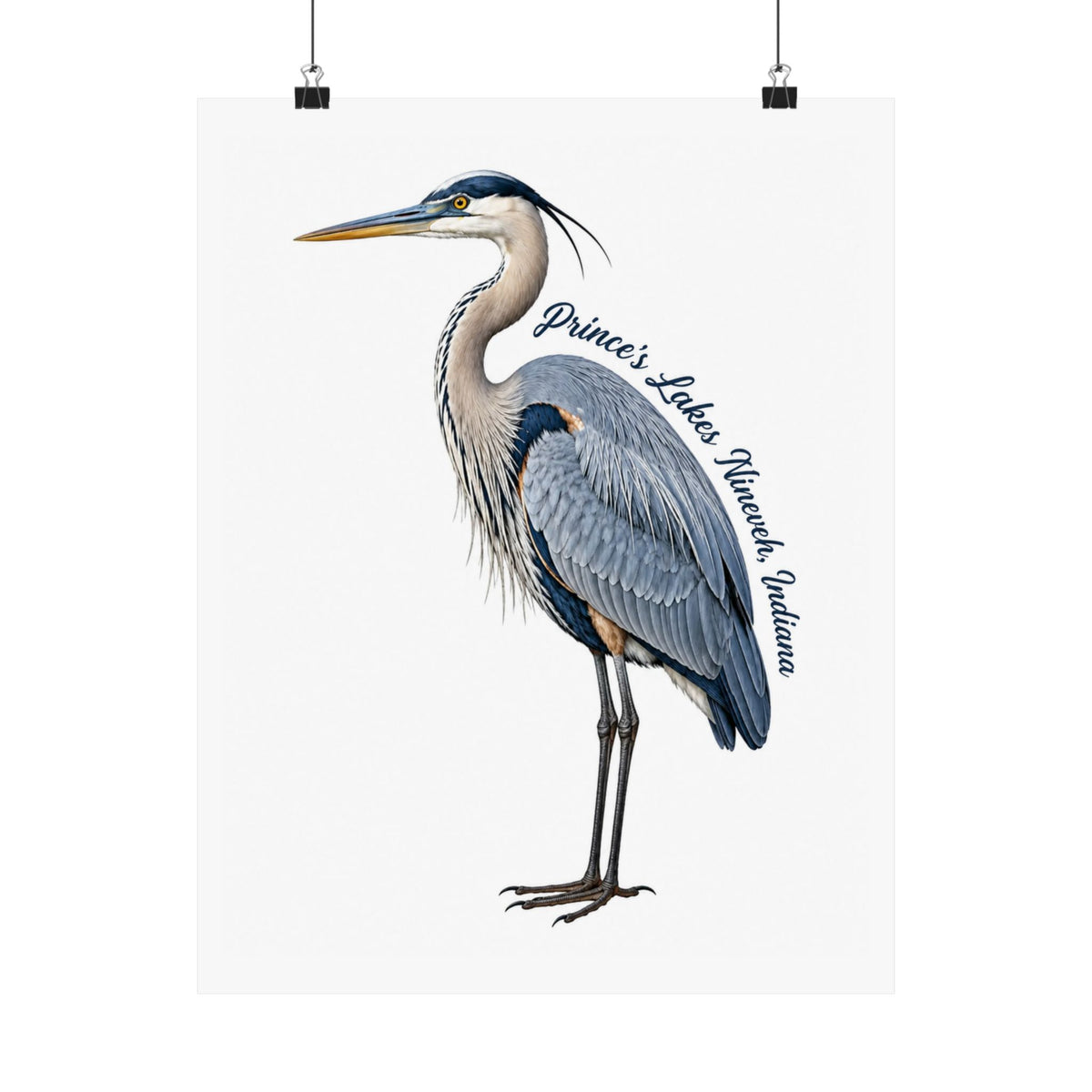 Great Blue Heron Art Print Poster — Matte Vertical Nature Illustration (Prince's Lakes Nineveh, Indiana)