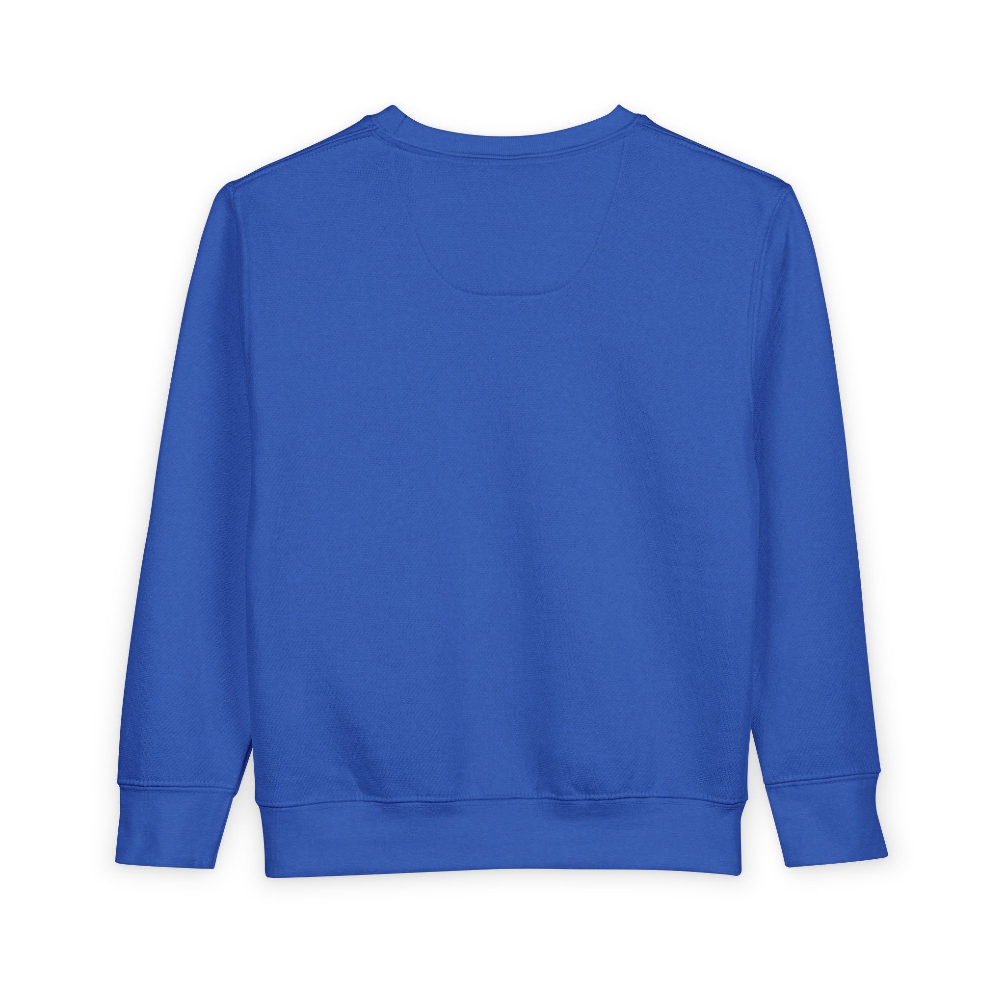 Toddler Sweatshirt - "PRINCE'S LAKES" Retro Camp Logo Kids Pullover