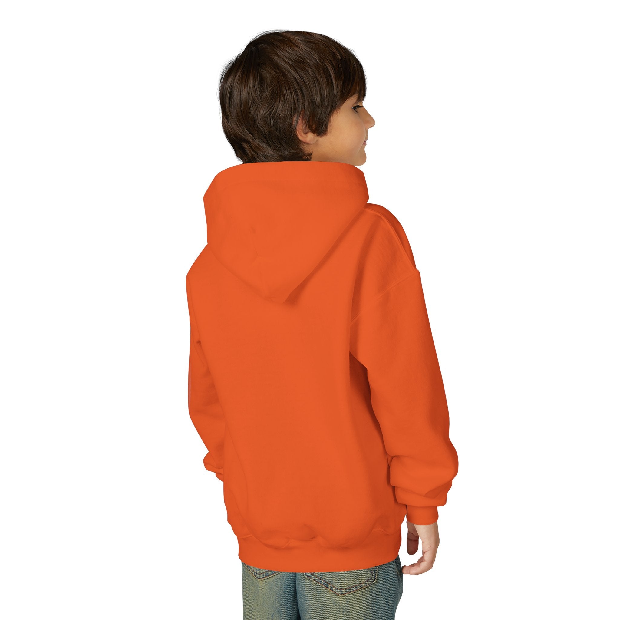 Youth Hoodie - Grandview Lake Sunset Logo