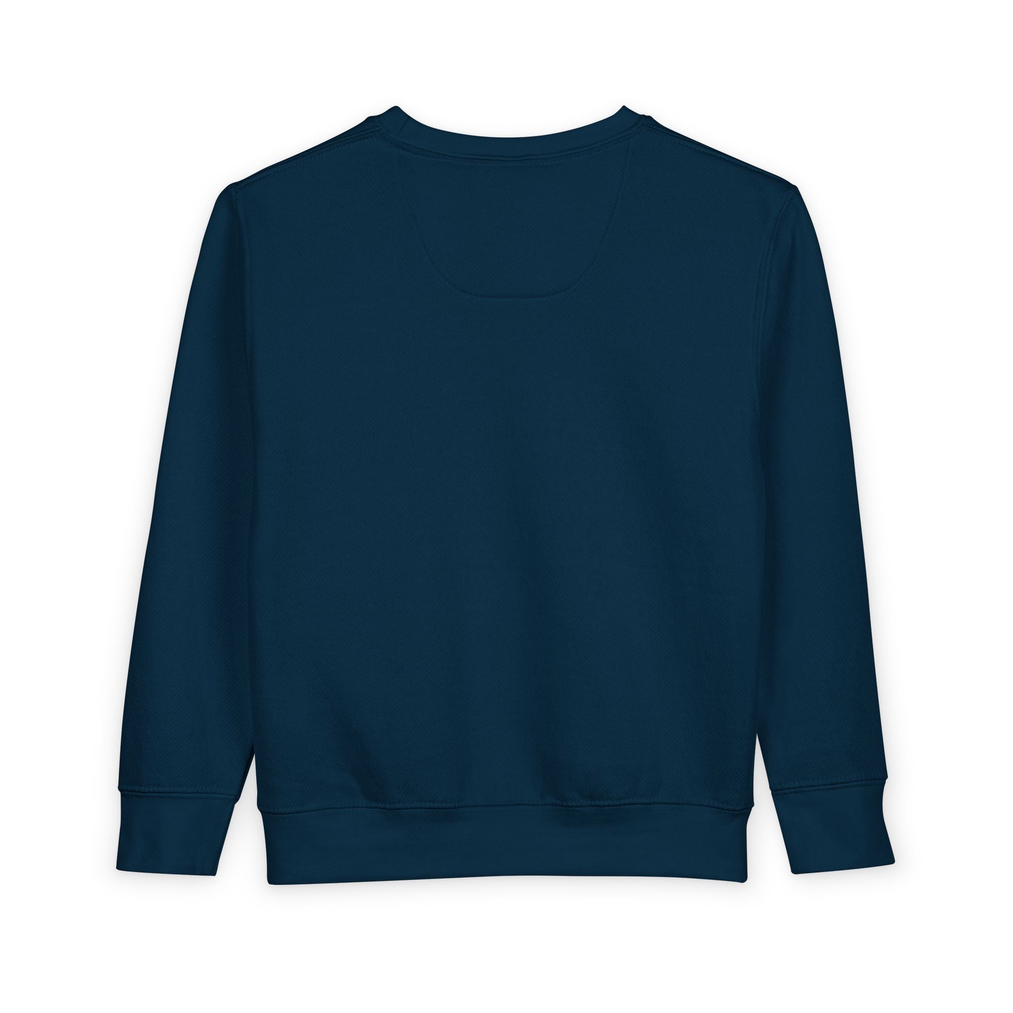 Toddler Sweatshirt - "PRINCE'S LAKES" Retro Camp Logo Kids Pullover