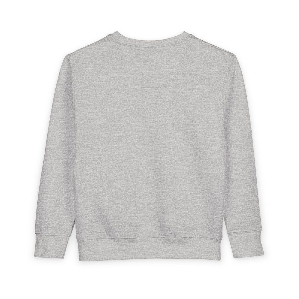 Toddler Sweatshirt - "PRINCE'S LAKES" Retro Camp Logo Kids Pullover