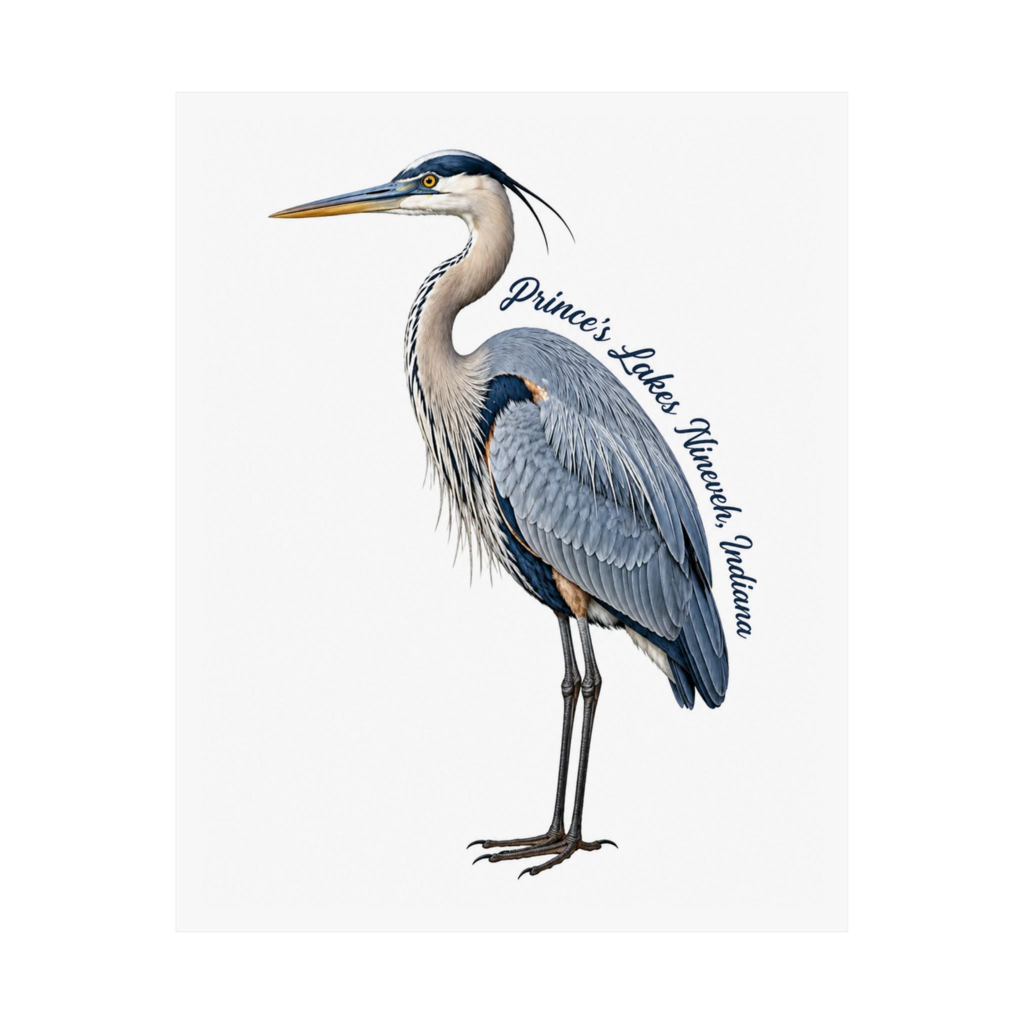 Great Blue Heron Art Print Poster — Matte Vertical Nature Illustration (Prince's Lakes Nineveh, Indiana)
