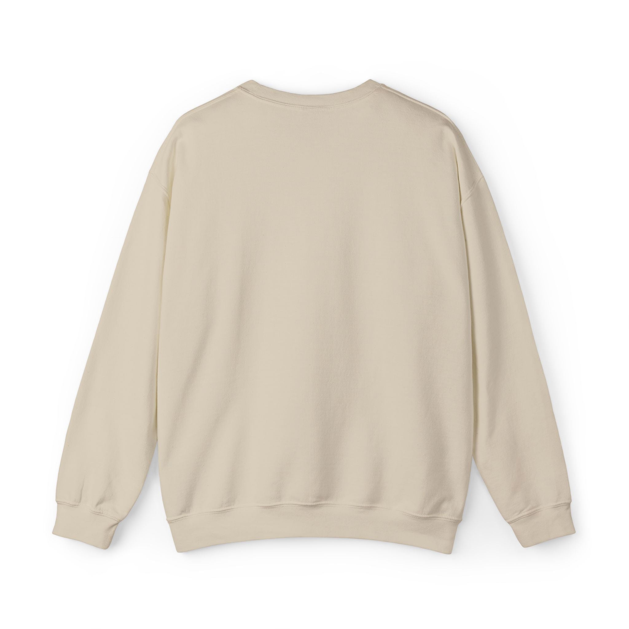 'Prince's Lakes' Script Embroidered Unisex Sweatshirt — Minimal Blue Handwritten Logo Crewneck