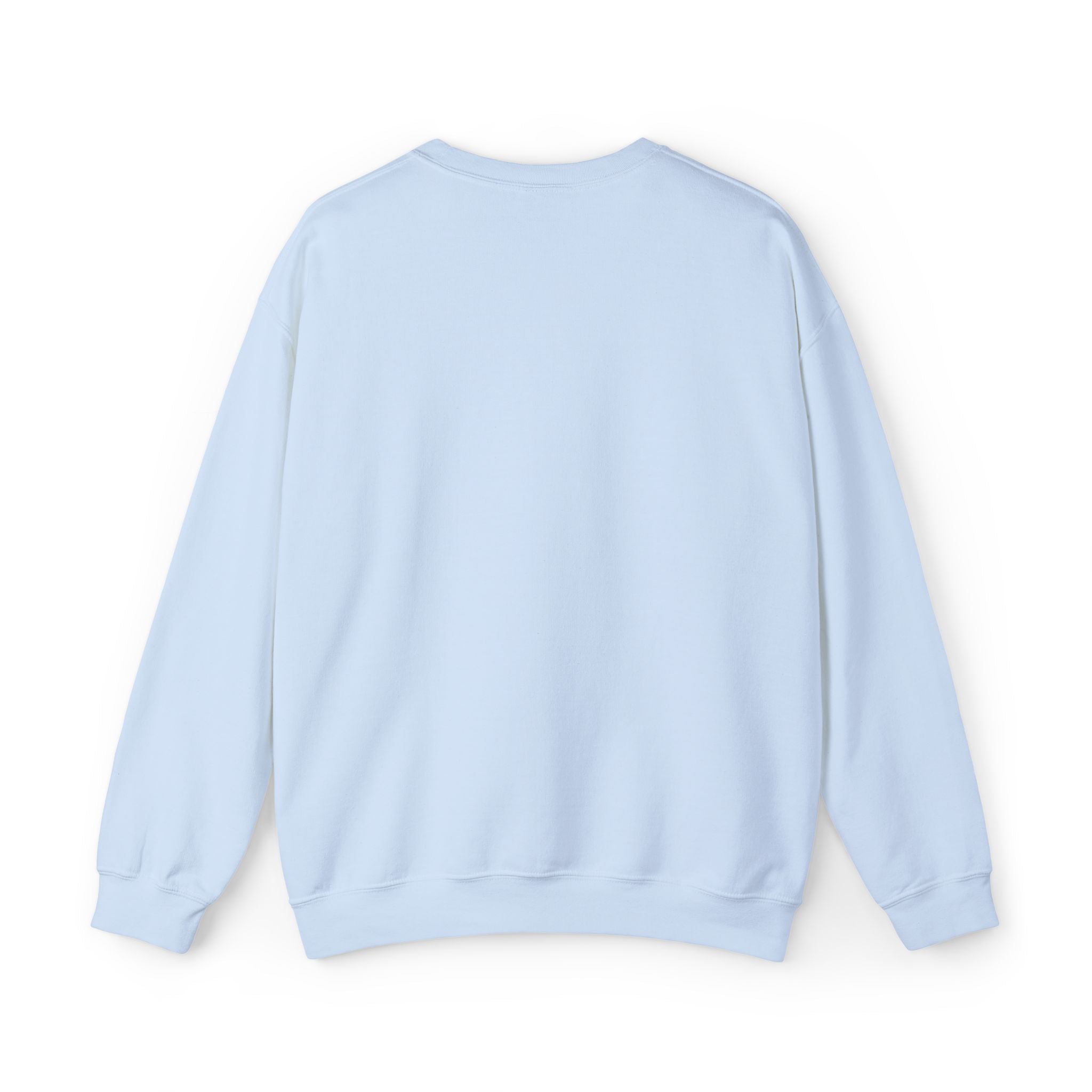 'Prince's Lakes' Script Embroidered Unisex Sweatshirt — Minimal Blue Handwritten Logo Crewneck
