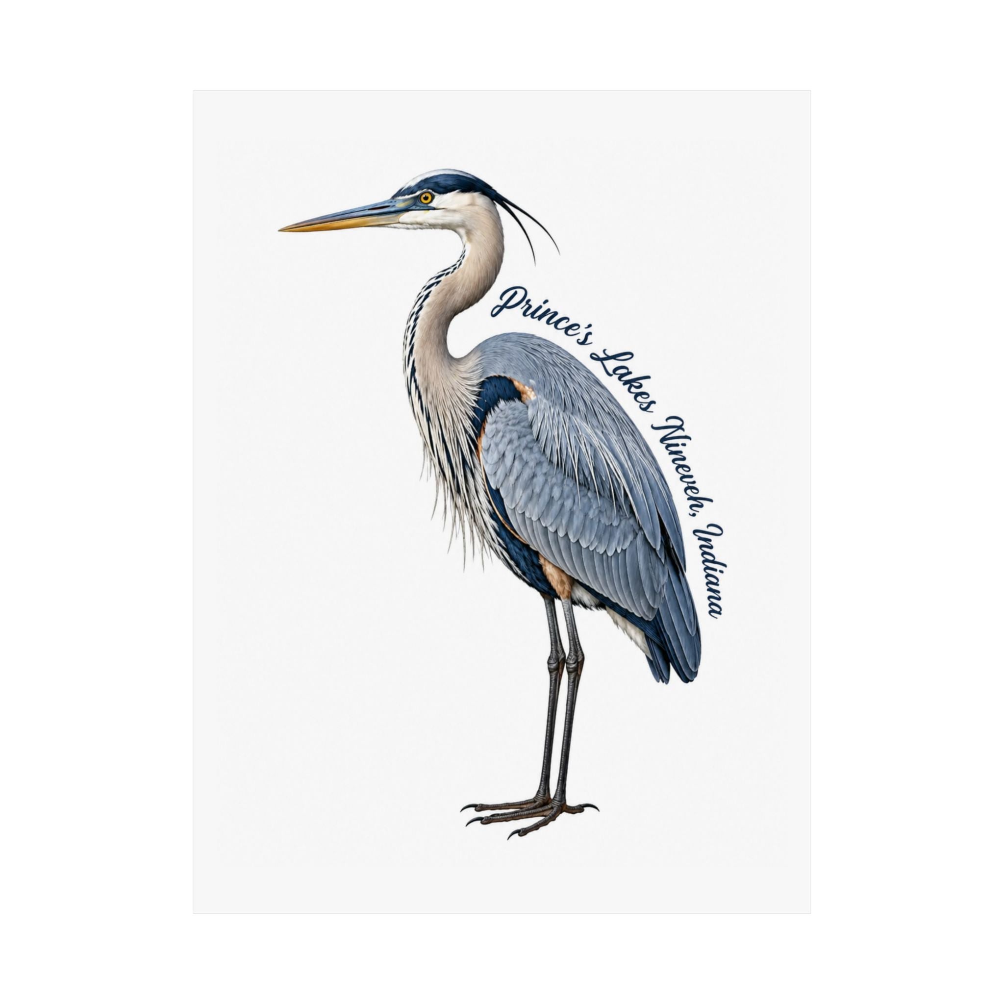 Great Blue Heron Art Print Poster — Matte Vertical Nature Illustration (Prince's Lakes Nineveh, Indiana)