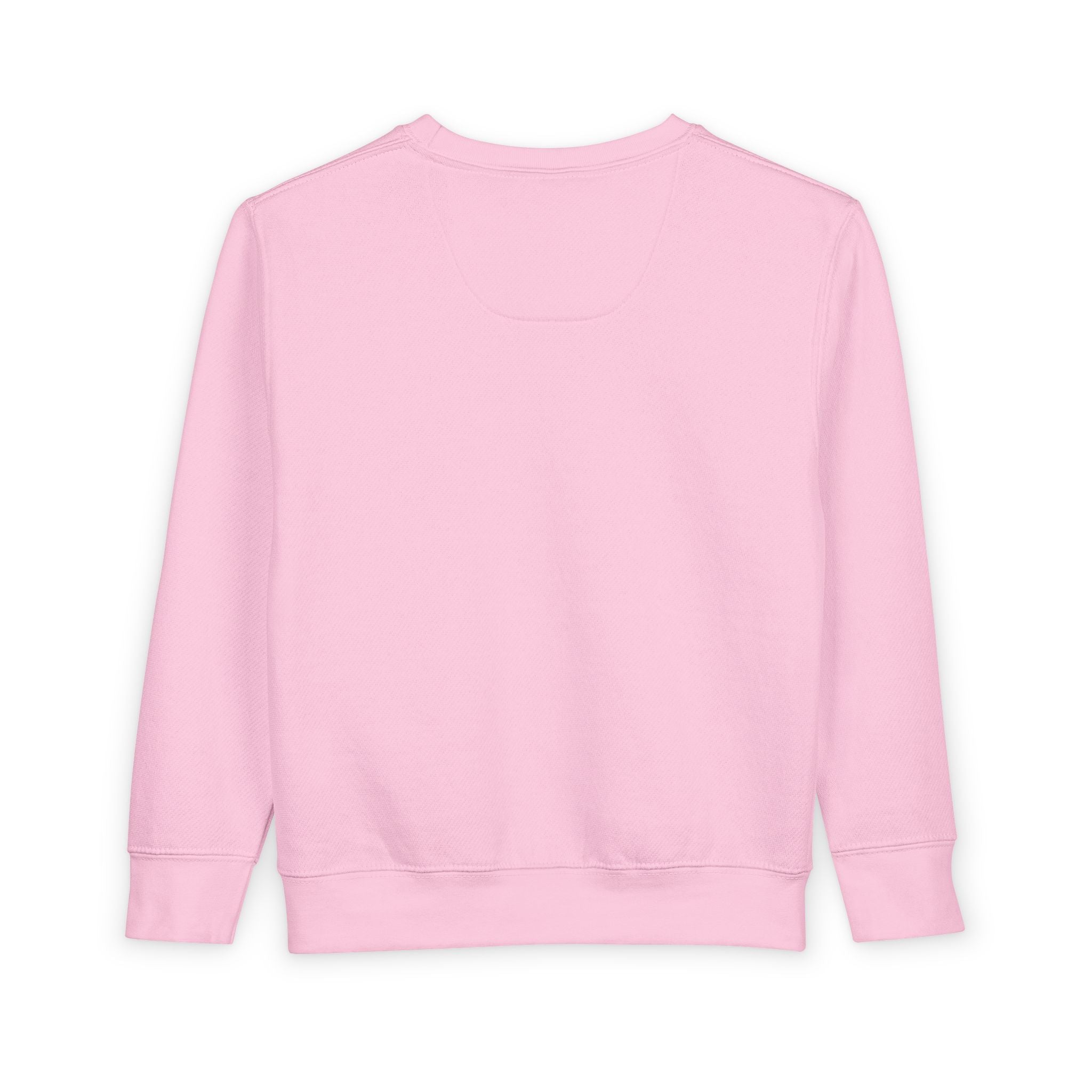 Toddler Sweatshirt - "PRINCE'S LAKES" Retro Camp Logo Kids Pullover