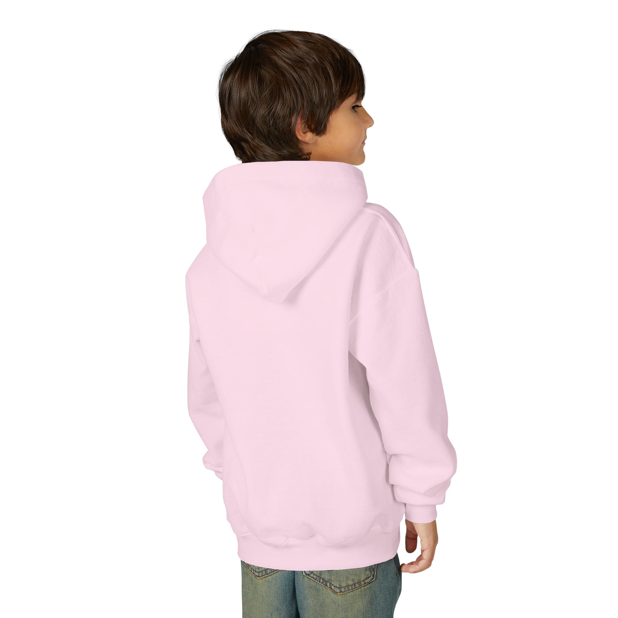 Youth Hoodie - Grandview Lake Sunset Logo