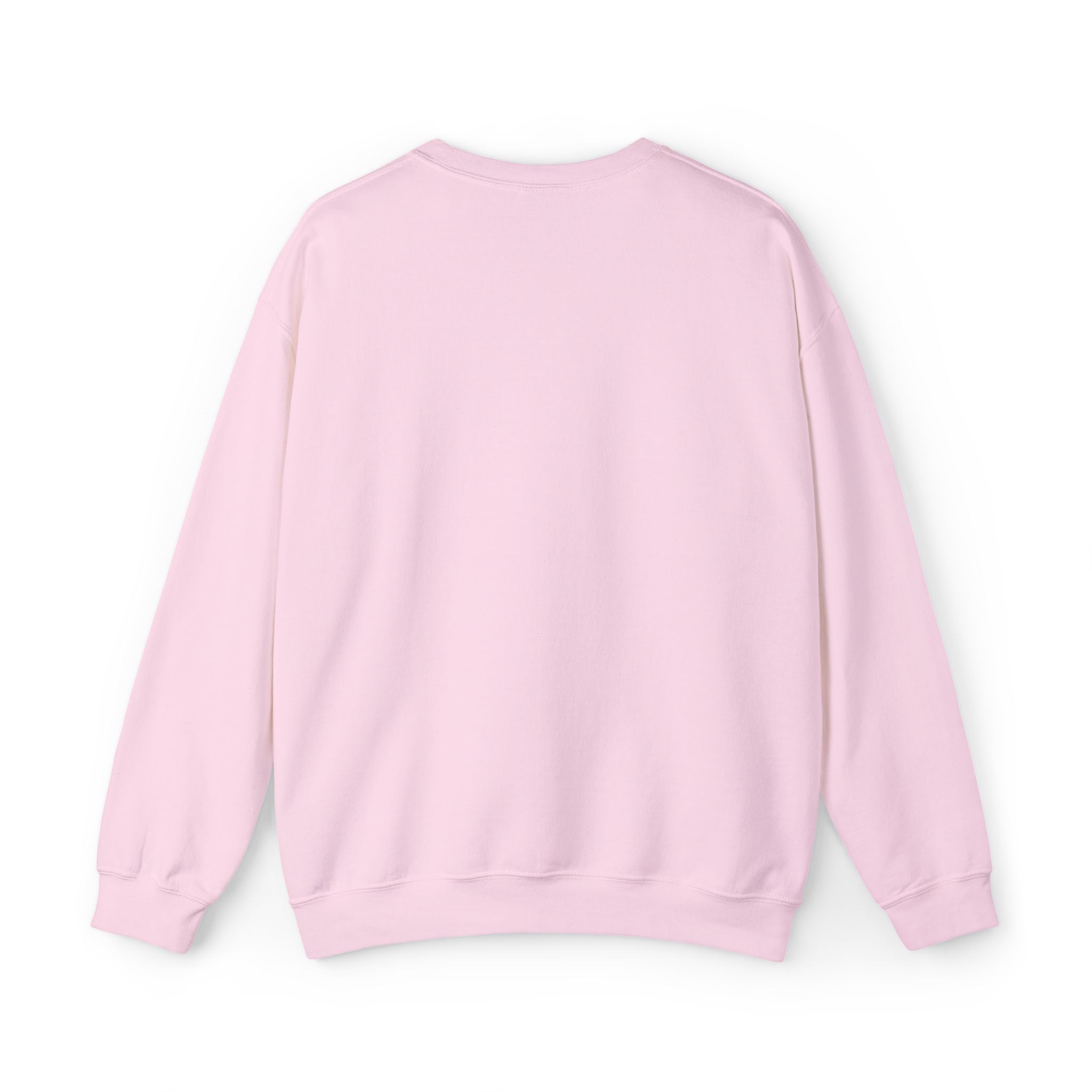 'Prince's Lakes' Script Embroidered Unisex Sweatshirt — Minimal Blue Handwritten Logo Crewneck