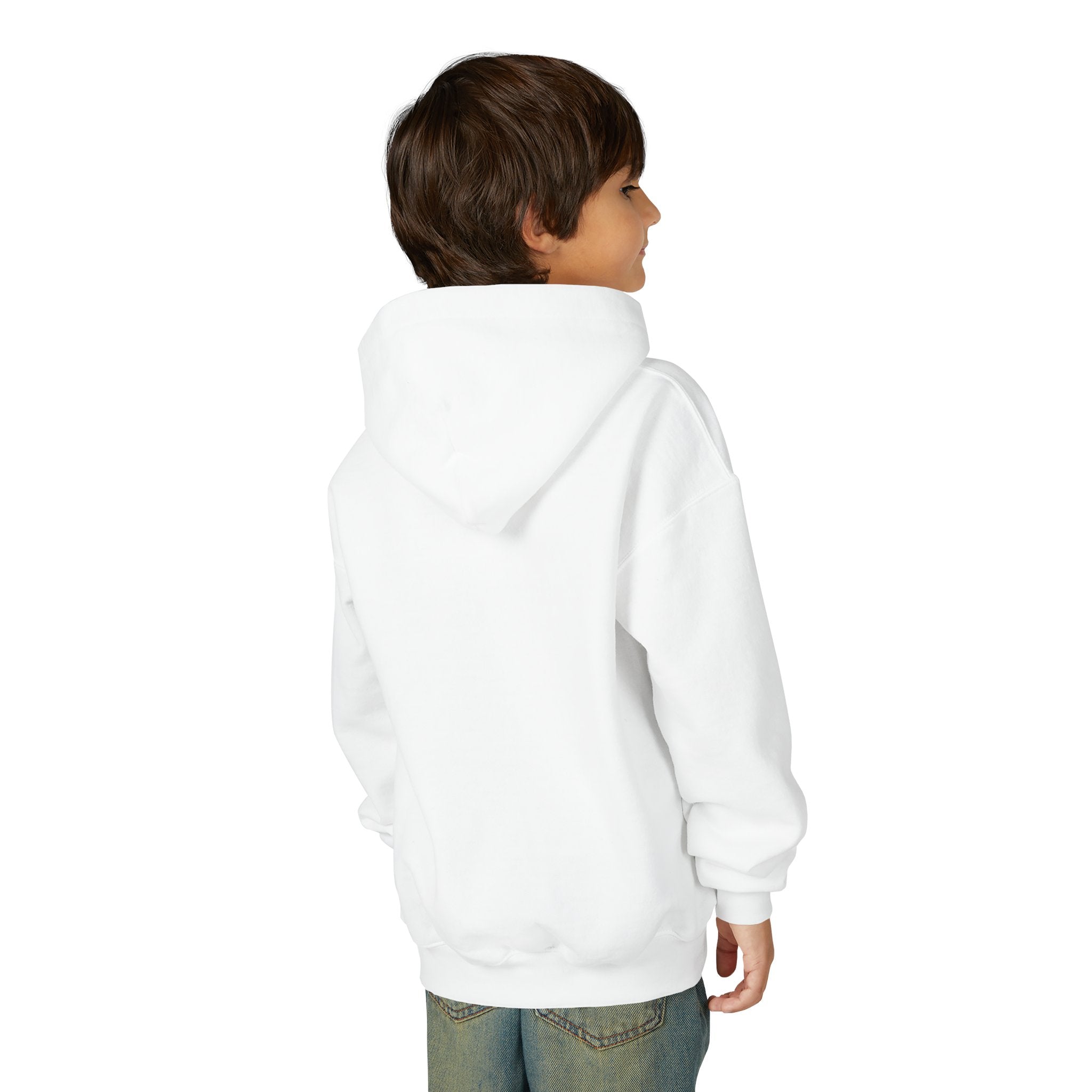 Youth Hoodie - Grandview Lake Sunset Logo
