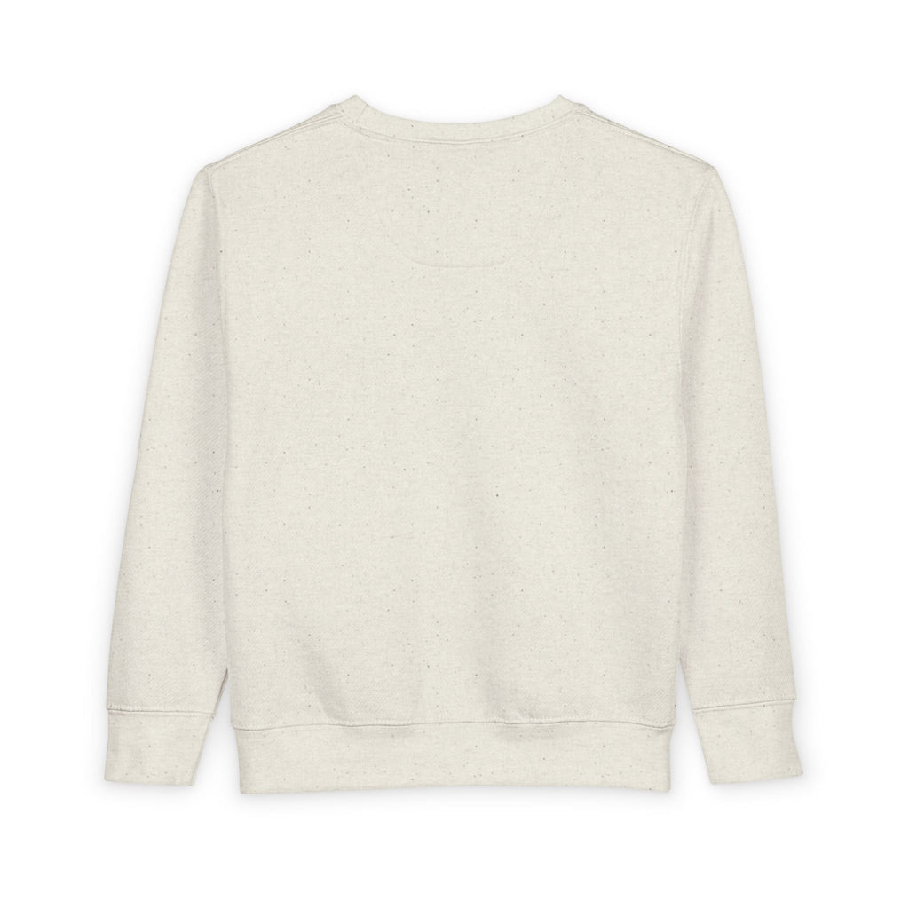 Toddler Sweatshirt - "PRINCE'S LAKES" Retro Camp Logo Kids Pullover