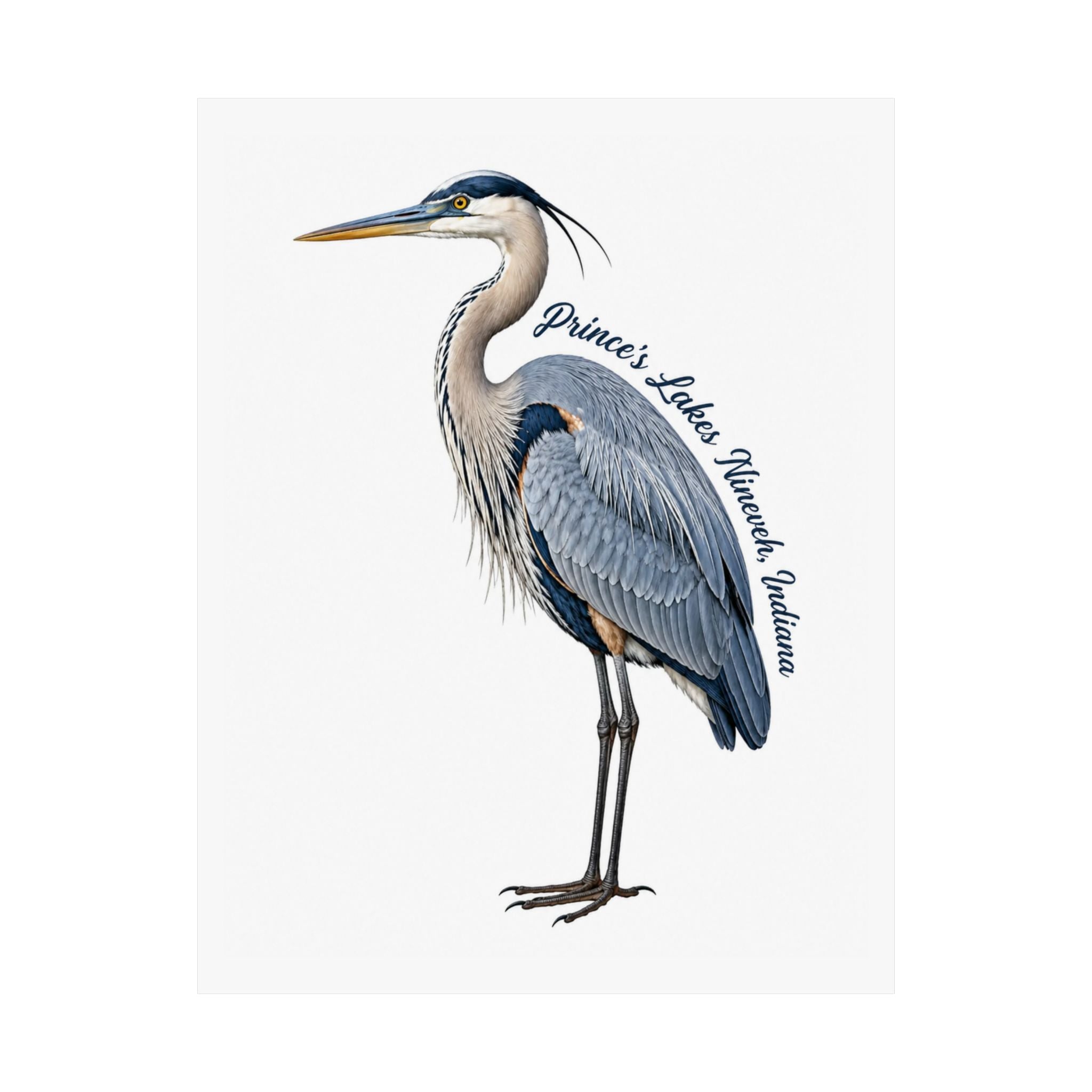 Great Blue Heron Art Print Poster — Matte Vertical Nature Illustration (Prince's Lakes Nineveh, Indiana)